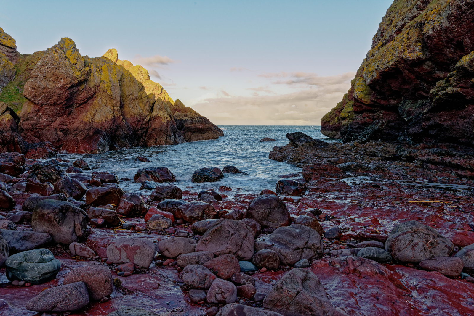 st abb's 2019.02 197 dxo dxo